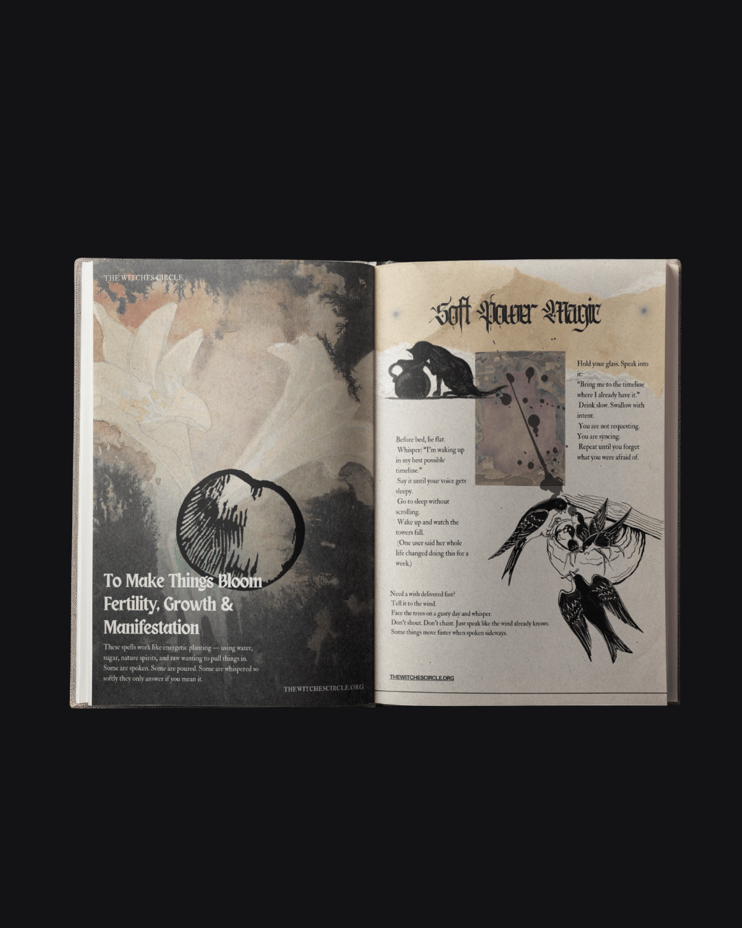 The Witches Circle Zine: Volume One (Printed Edition)