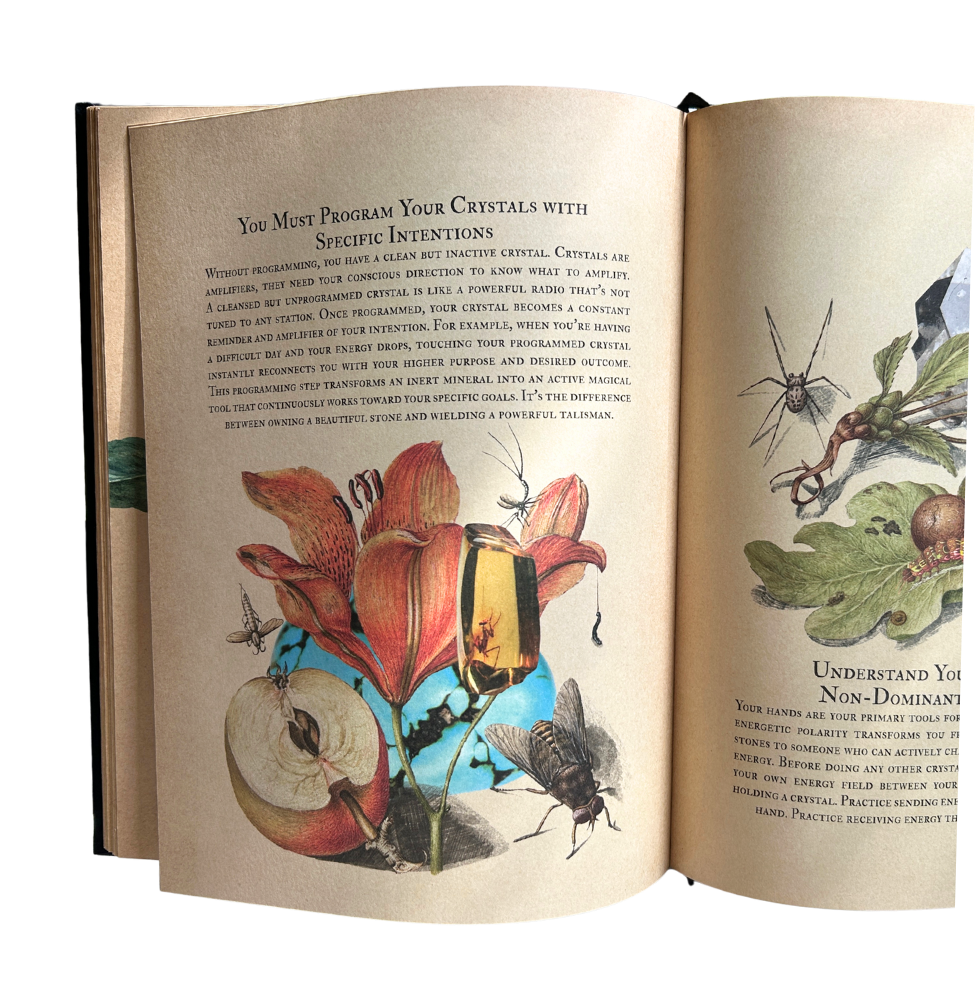 A hardcover grimoire and a full year inside The Witches Circle.