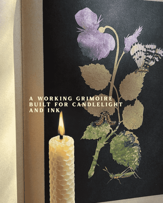 Secret Grimoire of Plant and Crystal Magic