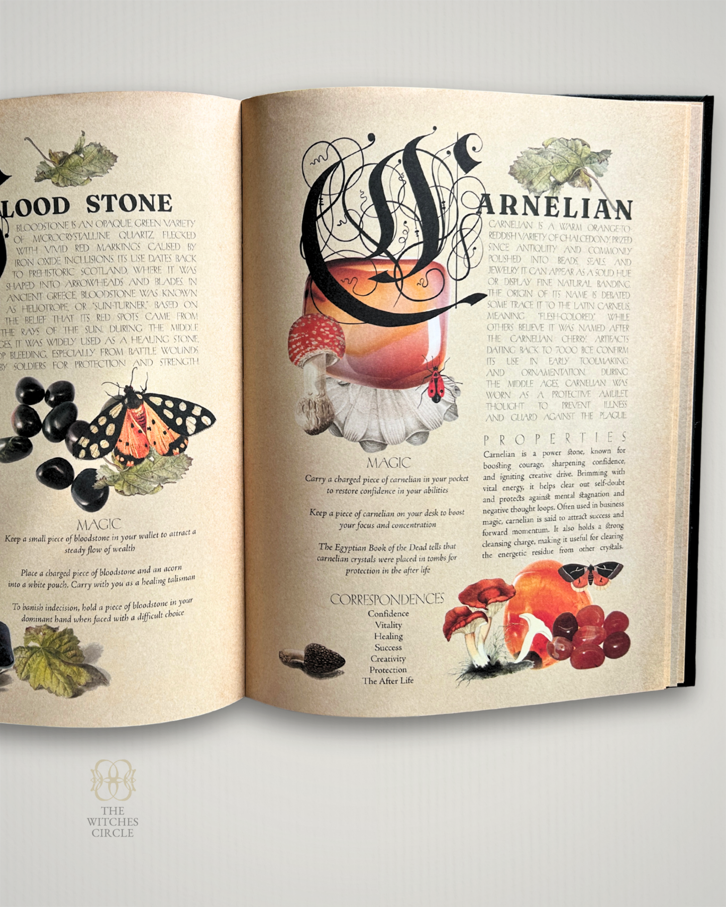 Secret Grimoire of Plant and Crystal Magic