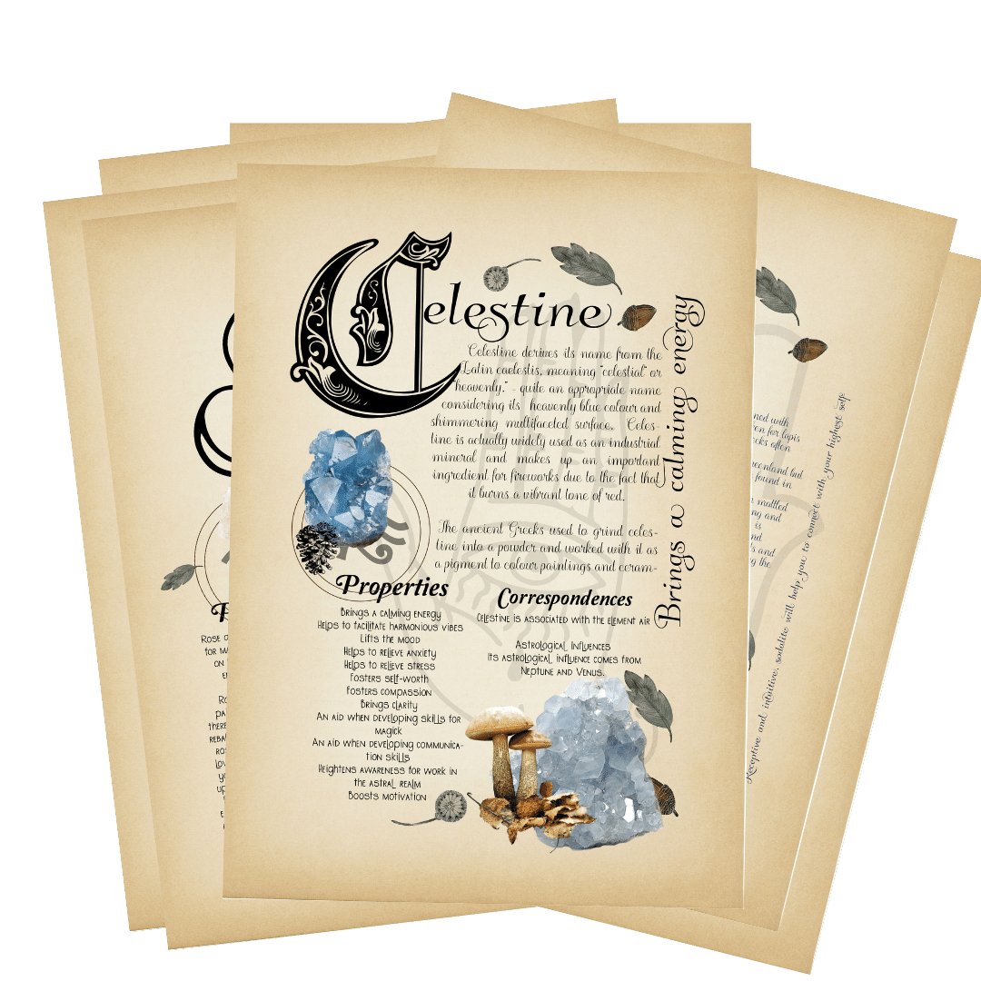 Digital Ultimate Grimoire Bundle - TheWitchesCircle