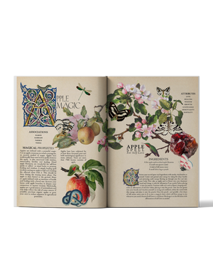 Secret Grimoire of Plant and Crystal Magic