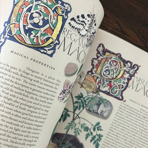 The Secret Grimoire of Plant and Crystal Magic - Volume 01
