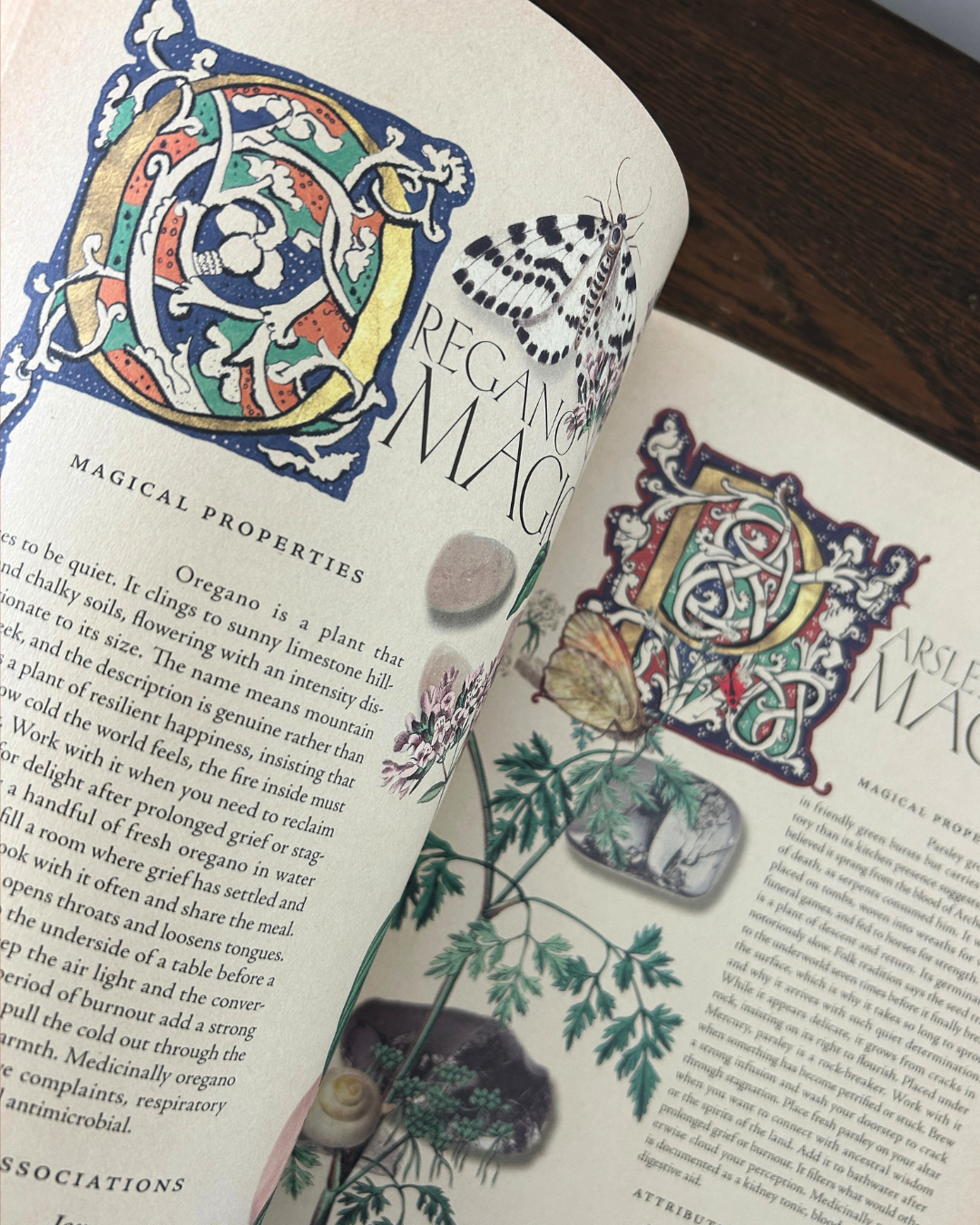 The Secret Grimoire of Plant and Crystal Magic - Volume 01
