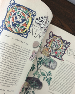 The Secret Grimoire of Plant and Crystal Magic - Volume 01