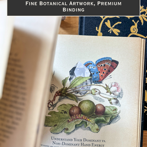 The Kindred Spirits Collection