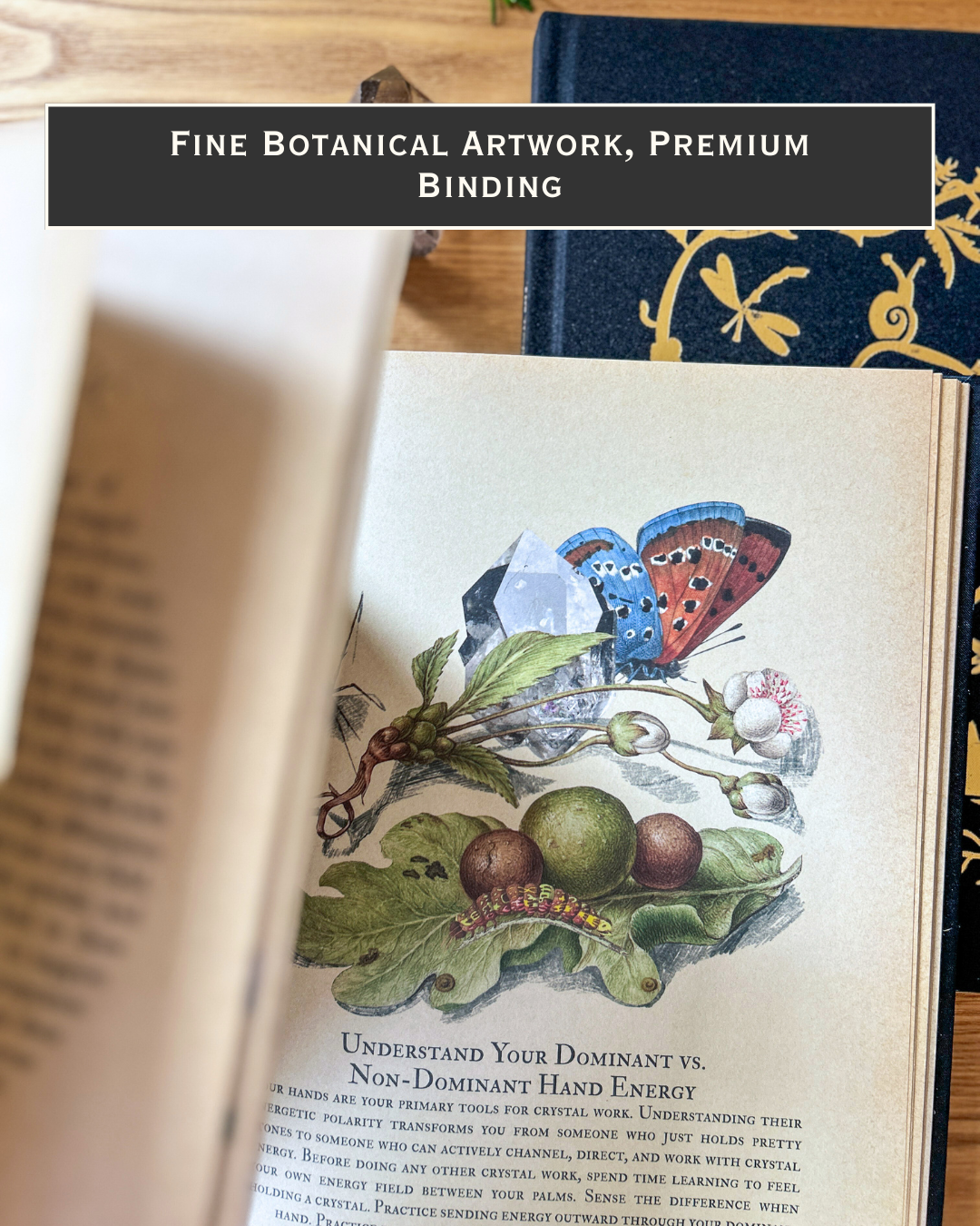 The Kindred Spirits Collection