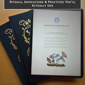 The Kindred Spirits Collection