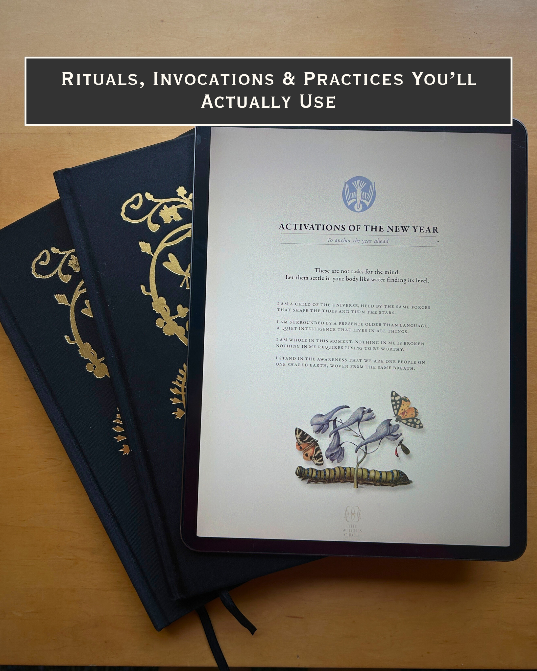 The Kindred Spirits Collection