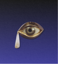 One-Year Membership - The Witches Circle