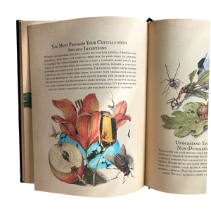 The 2026 Circle Edition Grimoire Set