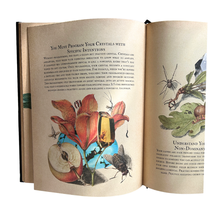 A hardcover grimoire and a full year inside The Witches Circle.