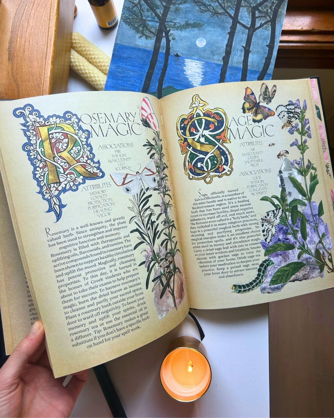 Secret Grimoire of Plant and Crystal Magic