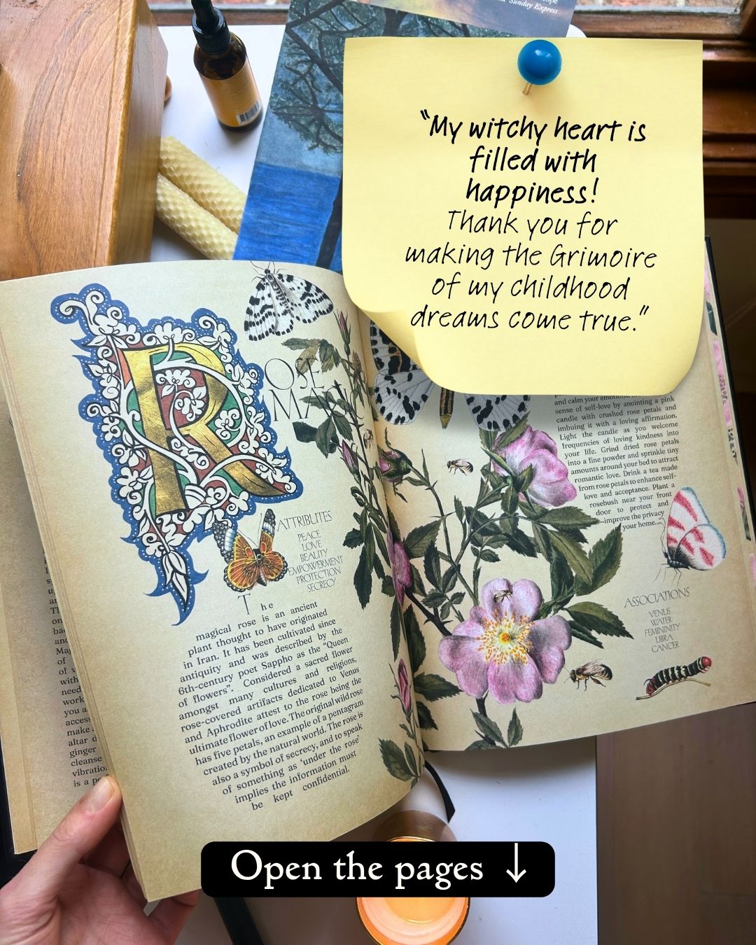 Secret Grimoire of Plant and Crystal Magic