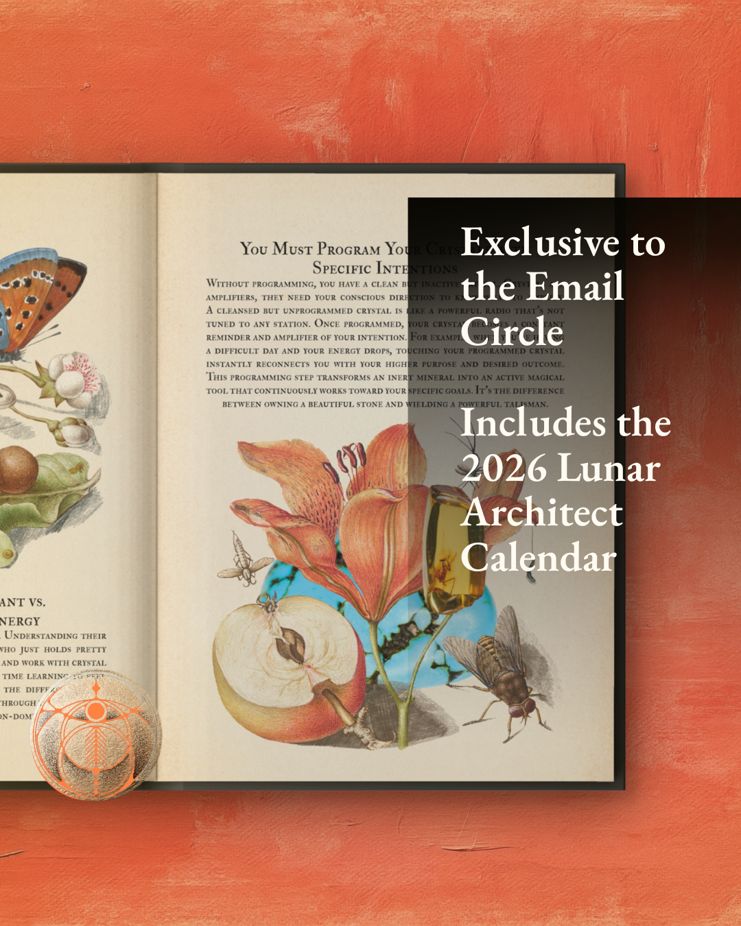 The 2026 Circle Edition Grimoire Set