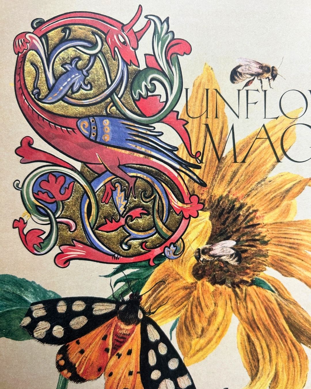 Secret Grimoire of Plant and Crystal Magic