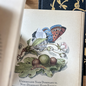 The 2026 Circle Edition Grimoire Set