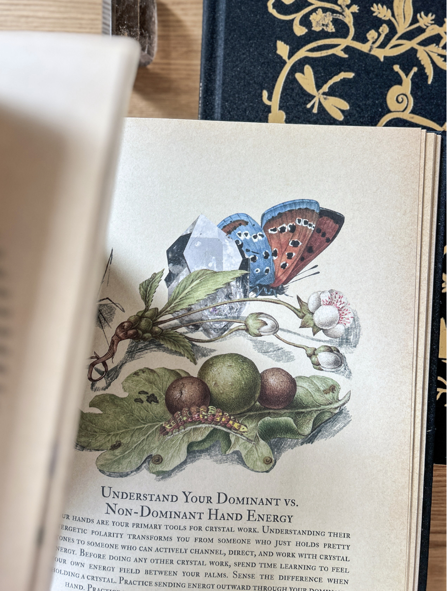 The 2026 Circle Edition Grimoire Set