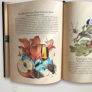 Secret Grimoire of Plant and Crystal Magic