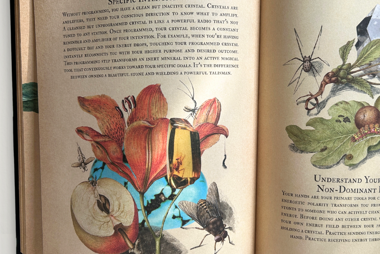 Secret Grimoire of Plant and Crystal Magic