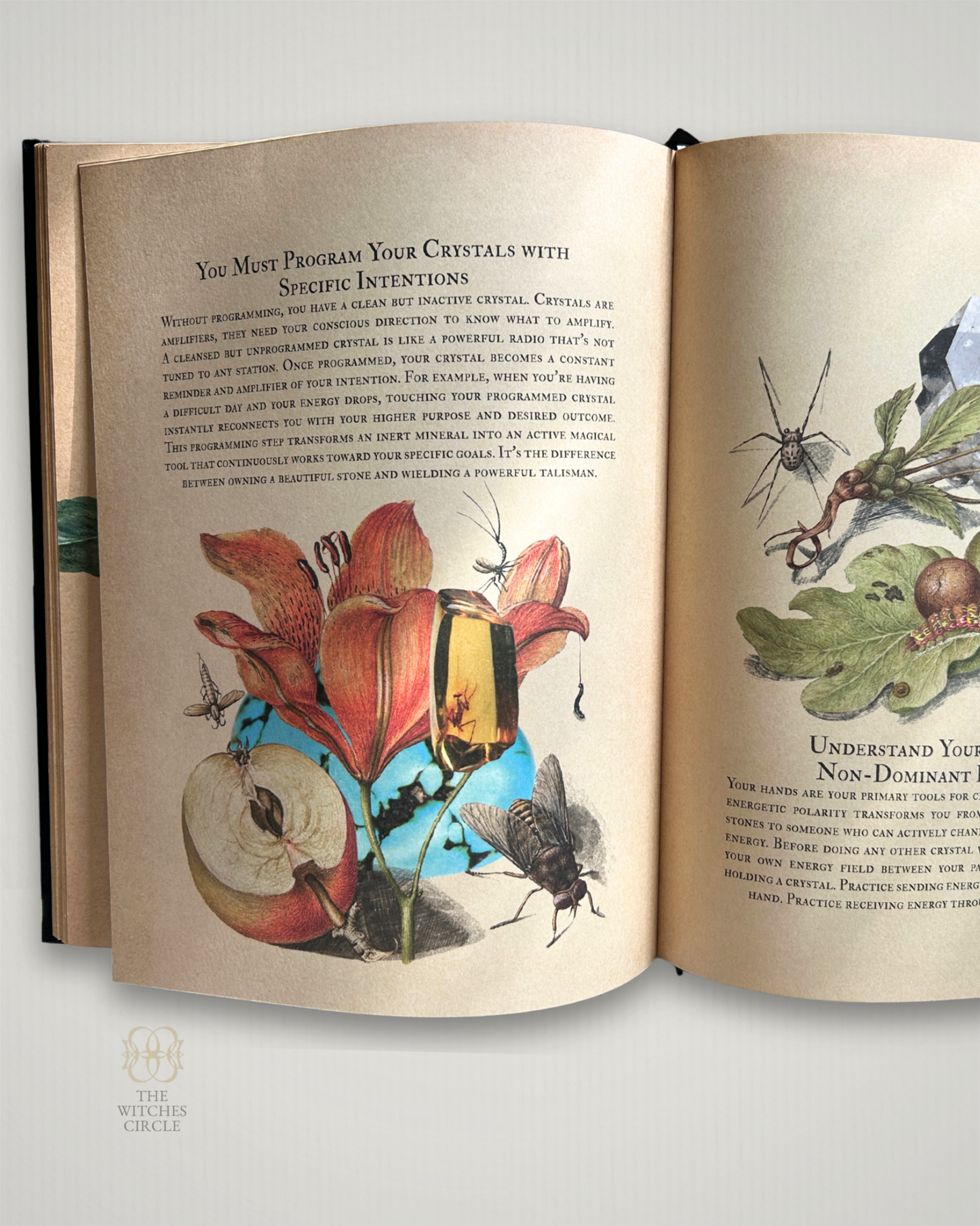 Secret Grimoire of Plant and Crystal Magic