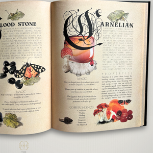 Secret Grimoire of Plant and Crystal Magic