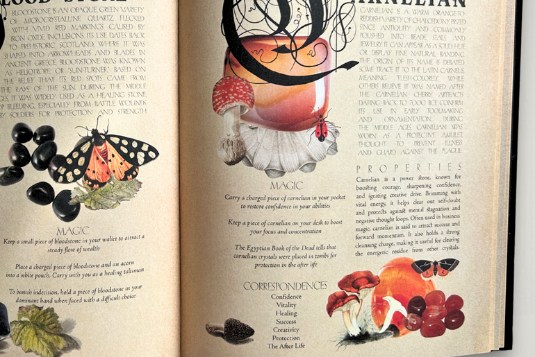 Secret Grimoire of Plant and Crystal Magic