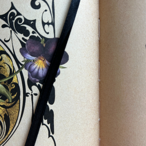 Secret Grimoire of Plant and Crystal Magic