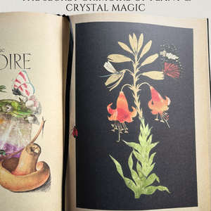 Secret Grimoire of Plant and Crystal Magic