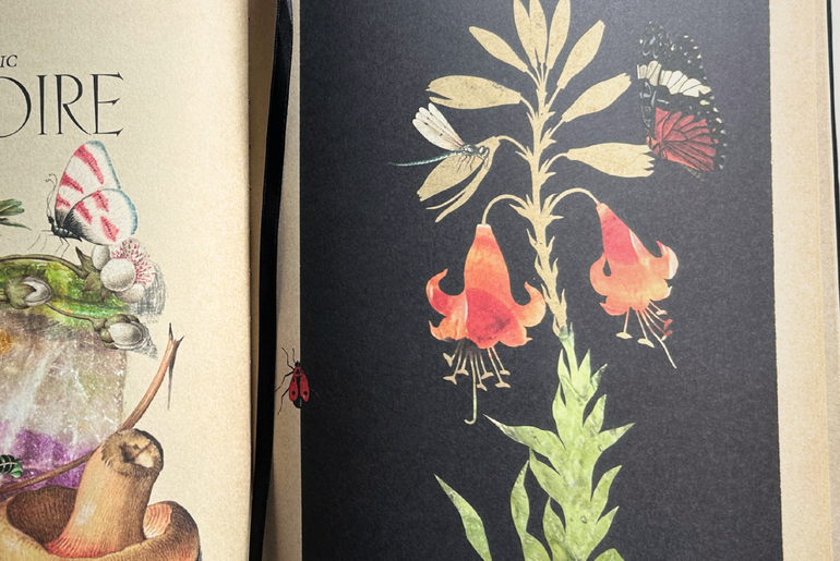 Secret Grimoire of Plant and Crystal Magic