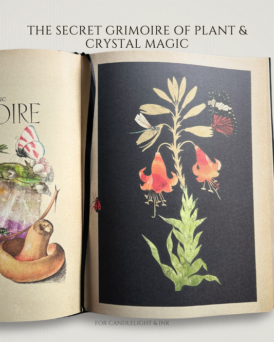 Secret Grimoire of Plant and Crystal Magic