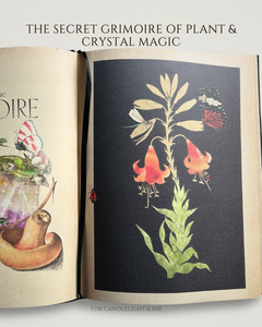 Secret Grimoire of Plant and Crystal Magic