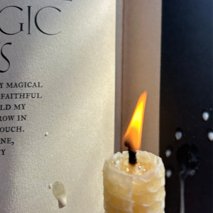 Secret Grimoire of Plant and Crystal Magic