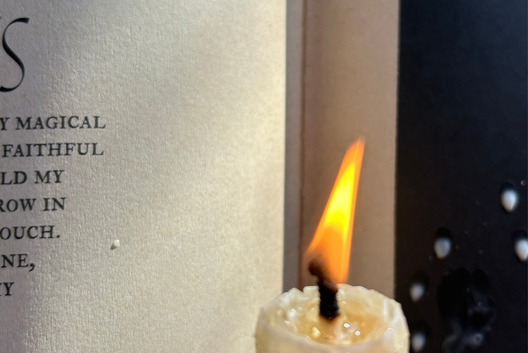 Secret Grimoire of Plant and Crystal Magic