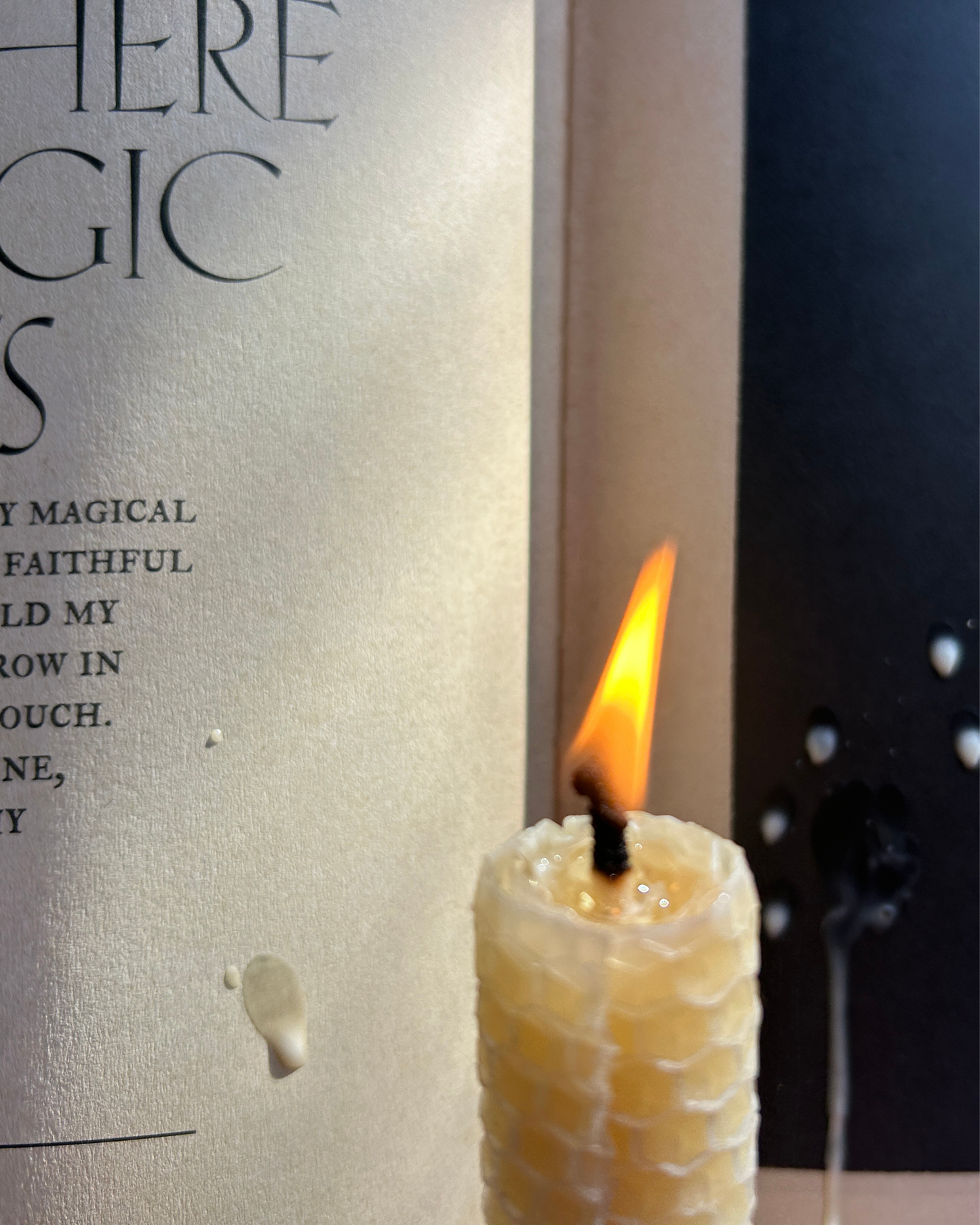 Secret Grimoire of Plant and Crystal Magic