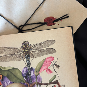 The 2026 Circle Edition Grimoire Set