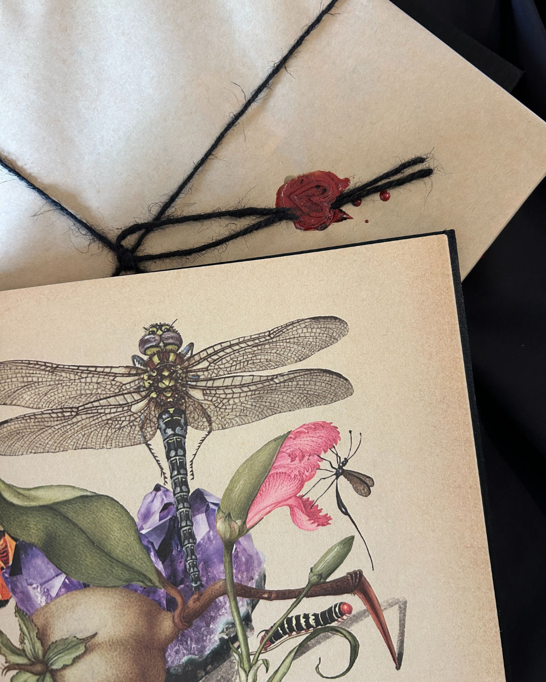 The 2026 Circle Edition Grimoire Set