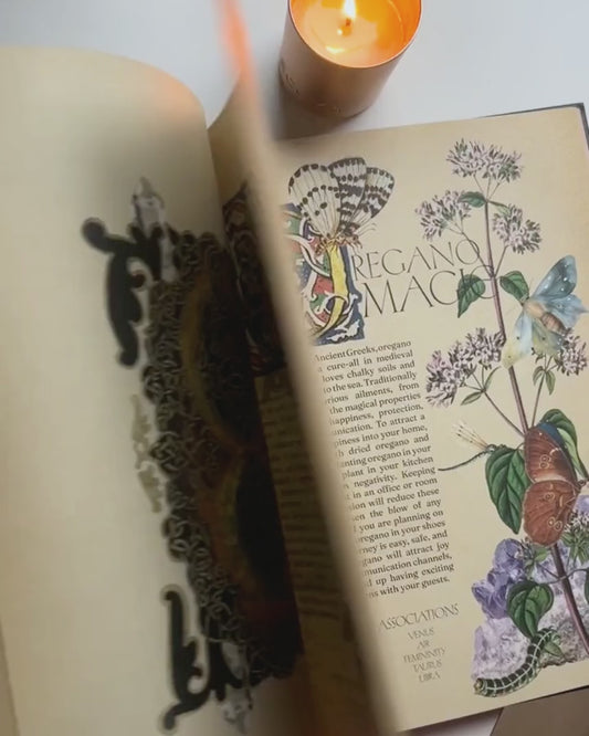Secret Grimoire of Plant and Crystal Magic