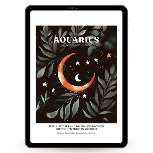 Digital New Moon in Aquarius Workbook