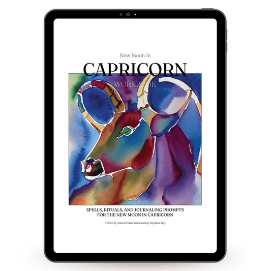 Digital New Moon in Capricorn Workbook