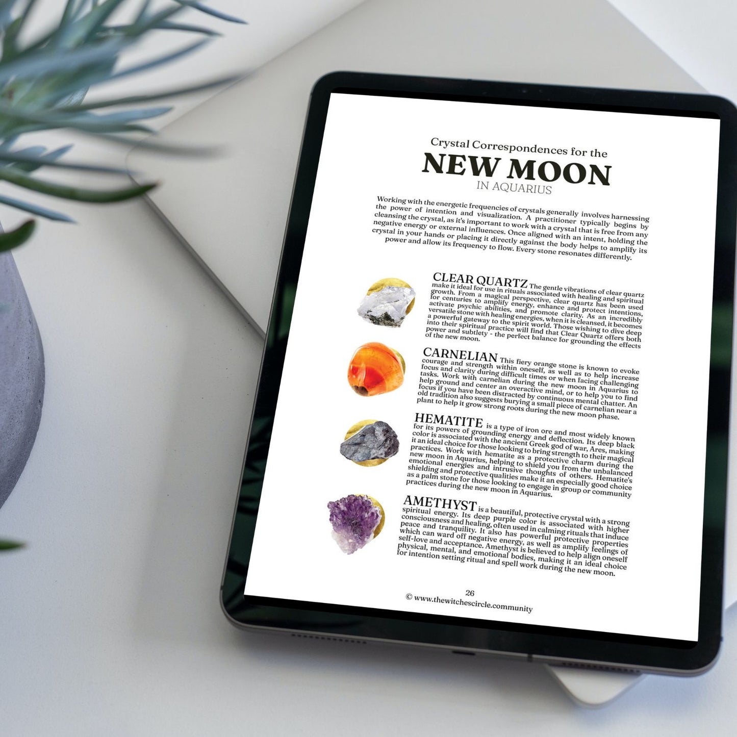 Digital New Moon in Aquarius Workbook